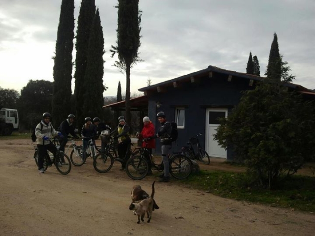  Biciclette elettriche 